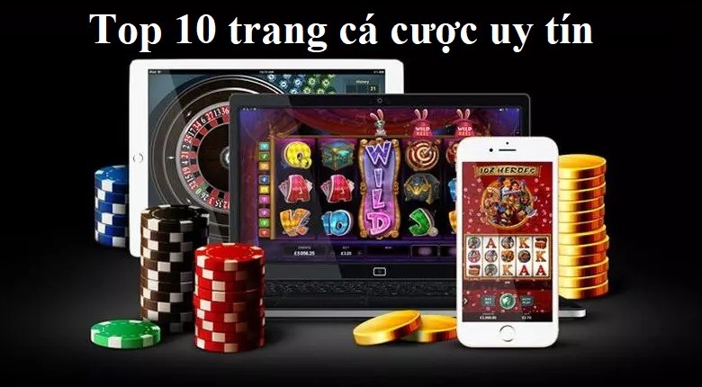 cá cược