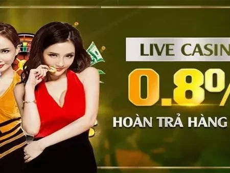 Bí Quyết Nhận Hoàn Tiền Cược Nhà Cái Tốt Nhất Tại Nhà Cái Trực Tuyến Uy Tín Việt Nam 2025