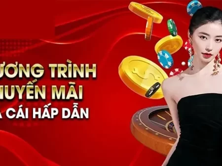 Các Loại Khuyến Mãi Hot Nhất Tại Nhà Cái Trực Tuyến 2025