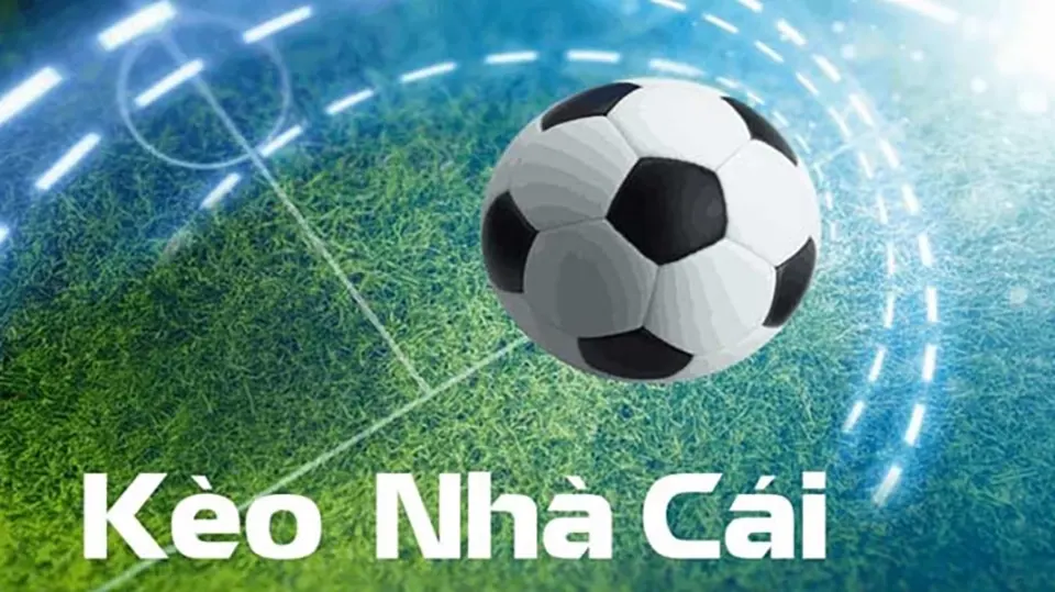 Cách xem kèo nhà cái